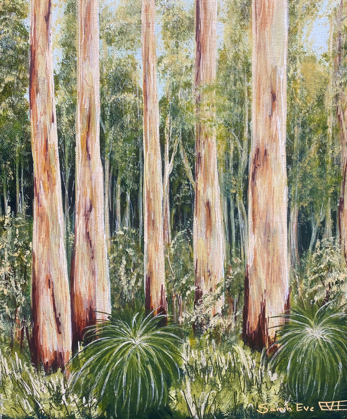 Boranup Forest